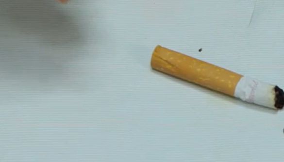 这4样东西“在作怪”后悔现在才明白九游会j9登录下水道三天两堵原来是(图3)